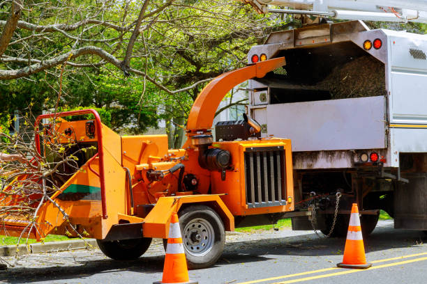 Best Utility Line Clearance  in Poteet, TX